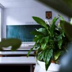 Ile zarabia programista po technikum