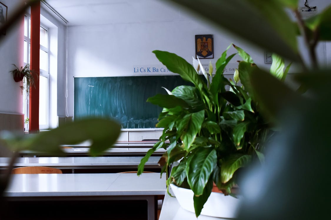 Ile zarabia programista po technikum